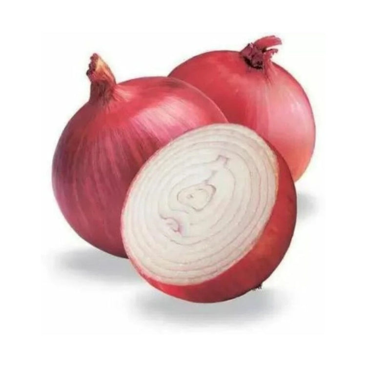 Kanda