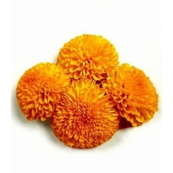 Zendu phool