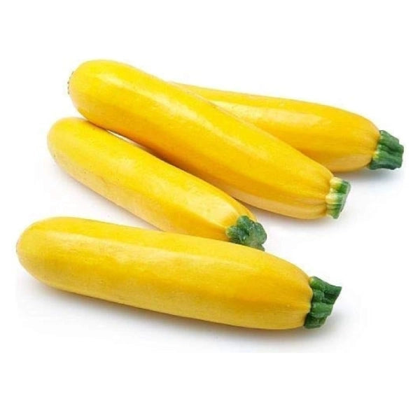Zhukini Yellow