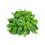 Bassil leaves
