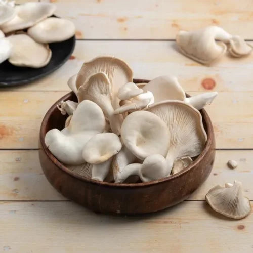 Oyster Mashroom