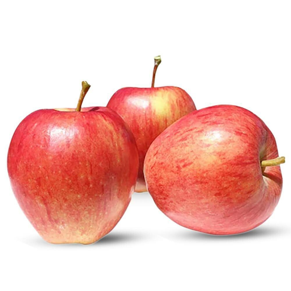 Apple Indian Gala