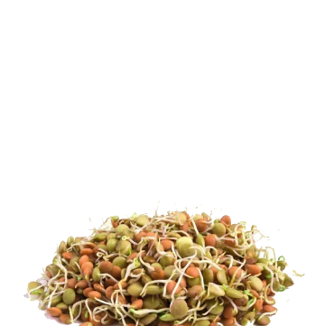 Sprouts