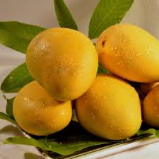 Fresh Mango, Badami 1 Kg (4-5 pcs/kg)