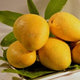Fresh Mango, Badami 1 Kg (4-5 pcs/kg)