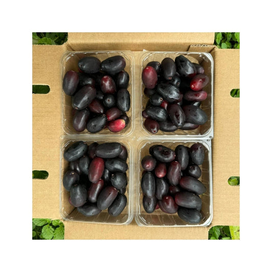 Jambhul Box