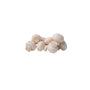 Mashroom 200gm