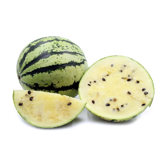 Watermelon White Patta