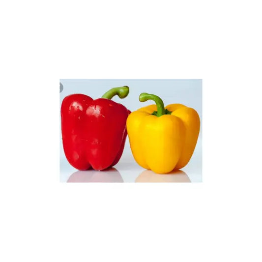 Red Yellow Shimla