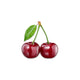 Cherry Imported