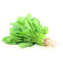 Palak