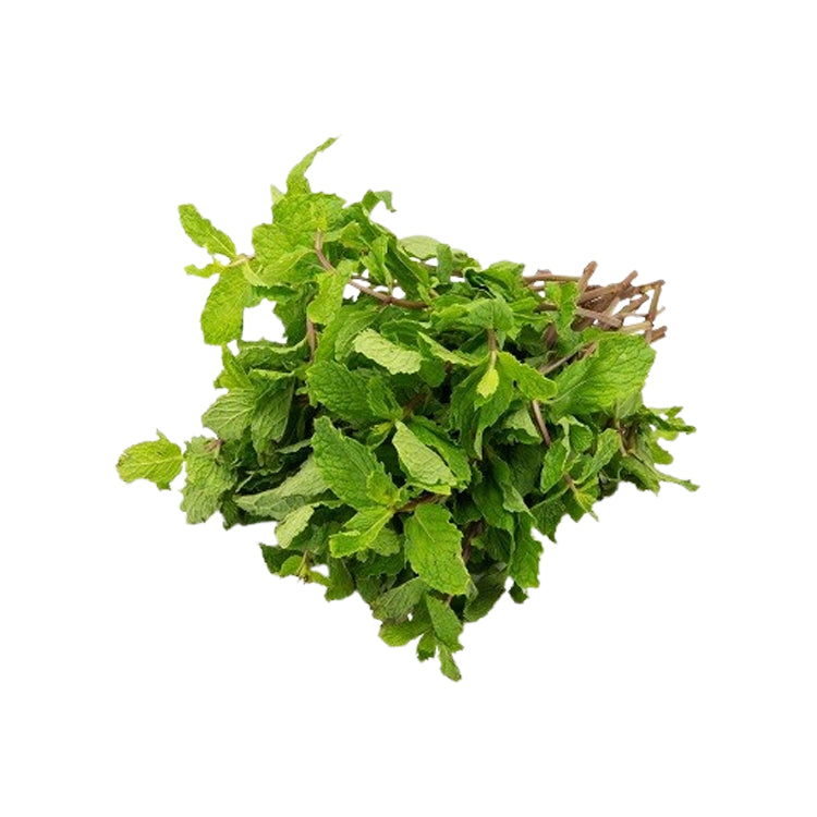 Pudina
