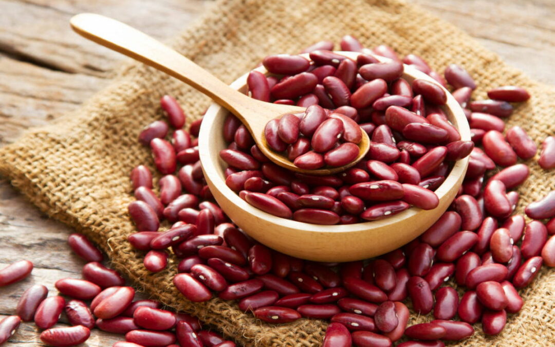 Rajma dal