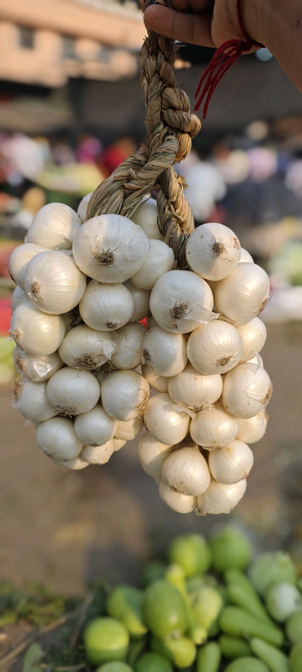 Alibag Kanda