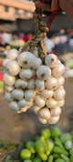Alibag Kanda