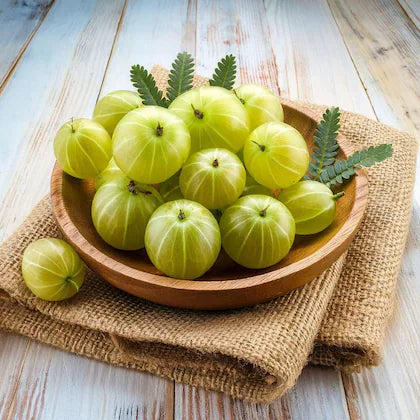 Gooseberry/Goldenberry
