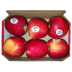 Apple Queen (520g to 550g)