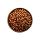 Channa
