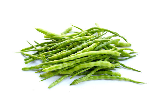 Dingari