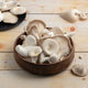Oyster Mashroom