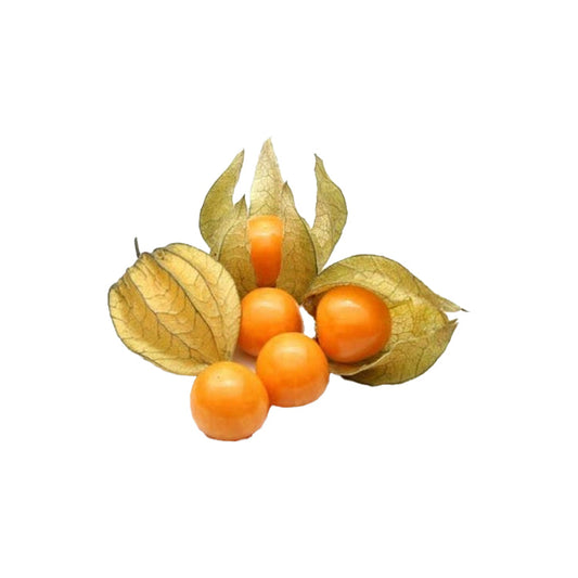 Gooseberry/Goldenberry