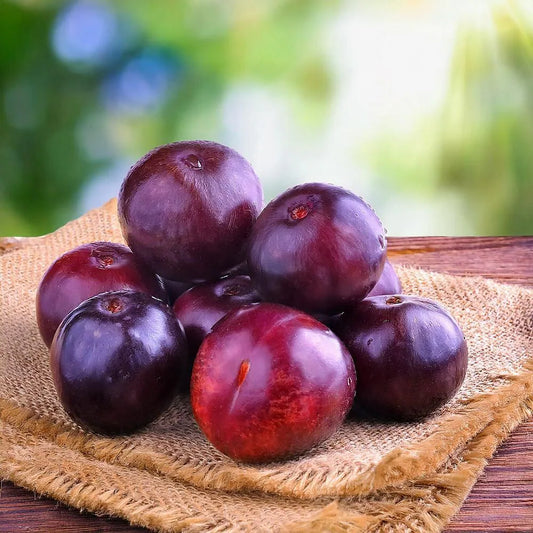 Imported Plums