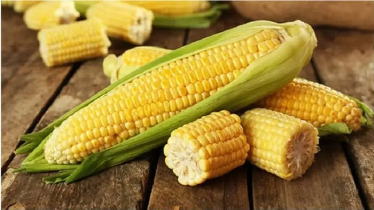 sweetcorn Kanis