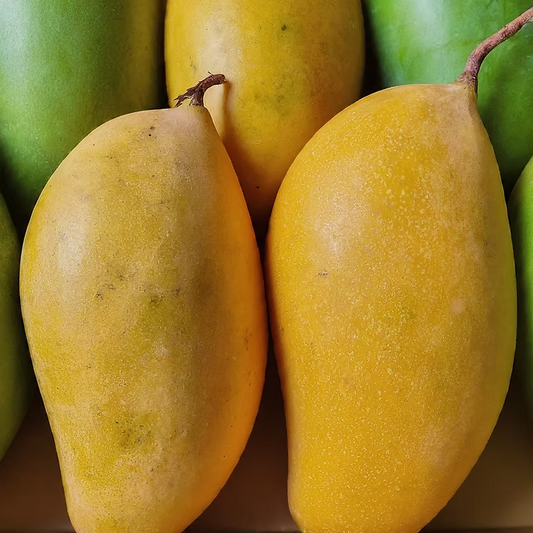 Totapuri Mango