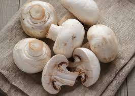 Mushroom Button