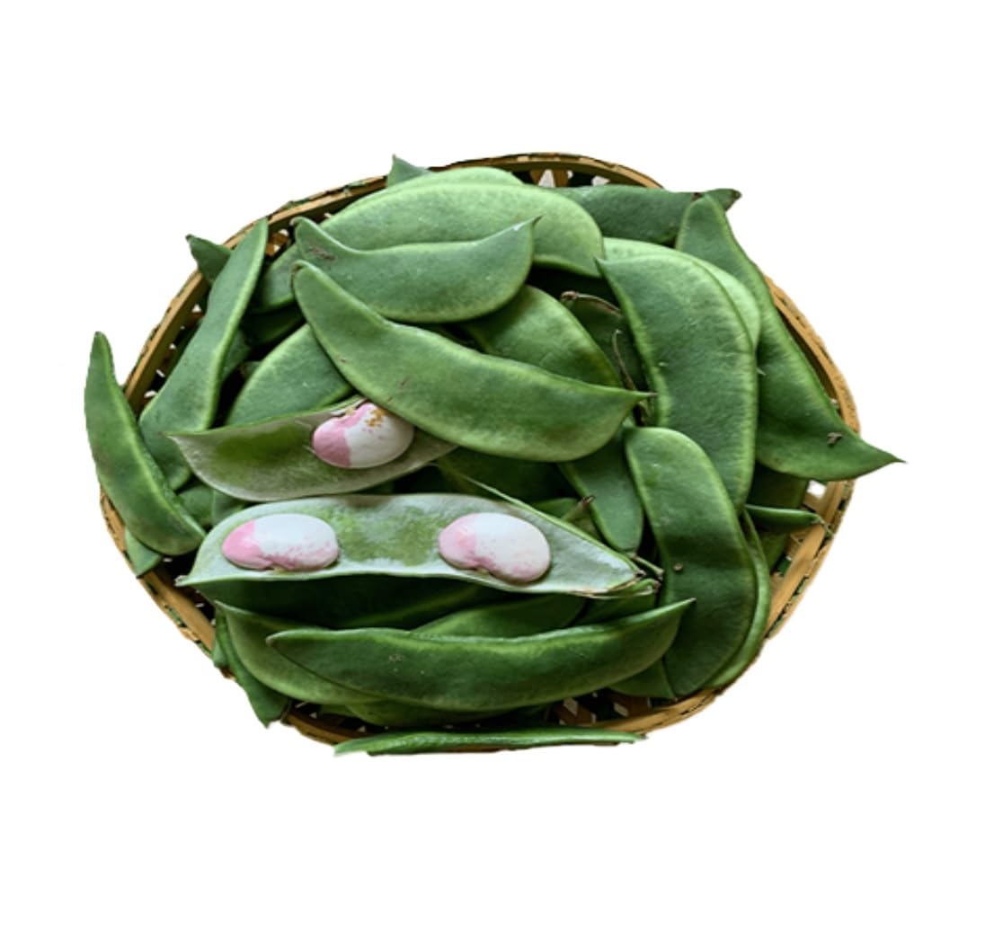 Pawatada
