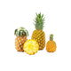 Pineapple Medium
