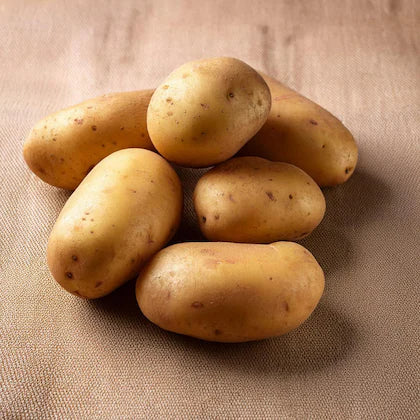 Batata