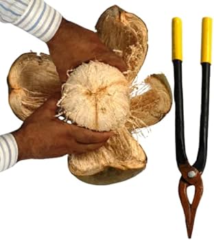 Coconut Shell Removhing