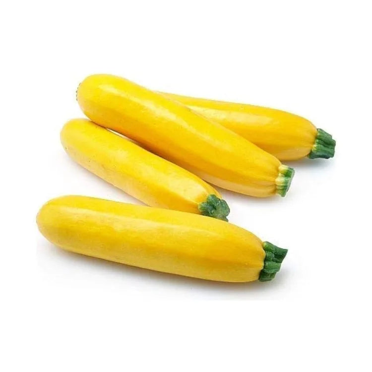 Zhukini